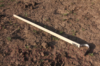 Полольник Судогодское РТП Пышка малый