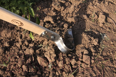 Полольник Судогодское РТП Пышка малый