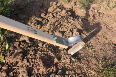 Полольник Судогодское РТП Пышка малый