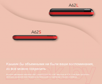 Внешний жесткий диск Silicon Power Armor A62 1TB (SP010TBPHD62SS3B)