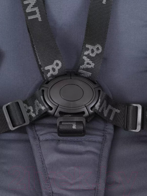 Детская прогулочная коляска Rant Energy Basic / RA096 (графитовый)