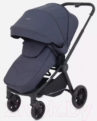 Детская прогулочная коляска Rant Energy Basic / RA096 (графитовый)