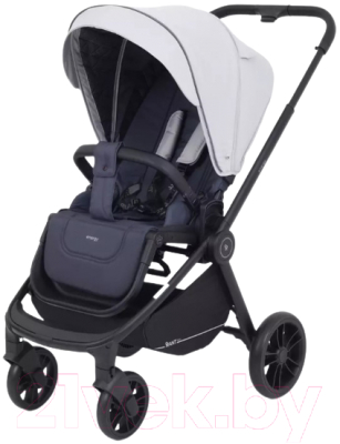 Детская прогулочная коляска Rant Energy Basic / RA096 - фото