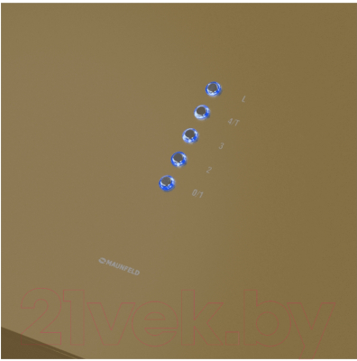 Вытяжка коробчатая Maunfeld Bath 402