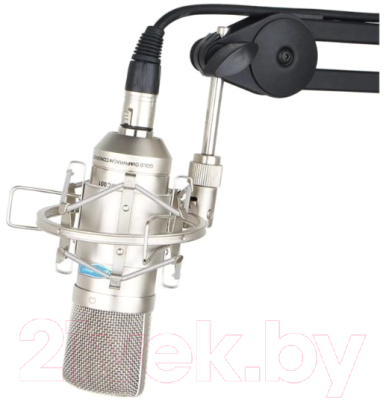 Микрофон Alctron MC001