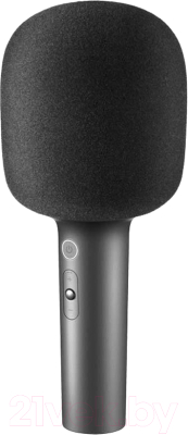 Микрофон Yhemi Microphone 2 - фото