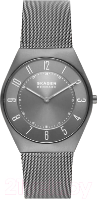 Часы наручные мужские Skagen SKW6824 - фото