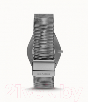 Часы наручные мужские Skagen SKW6824