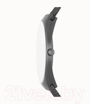 Часы наручные мужские Skagen SKW6824