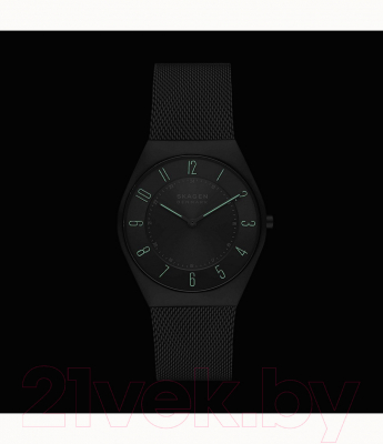 Часы наручные мужские Skagen SKW6824