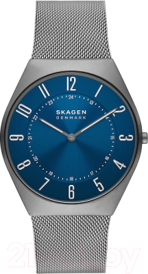 Часы наручные мужские Skagen SKW6829 - фото