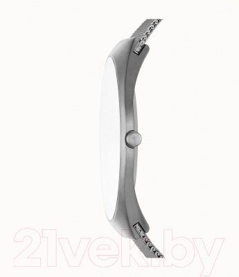 Часы наручные мужские Skagen SKW6829