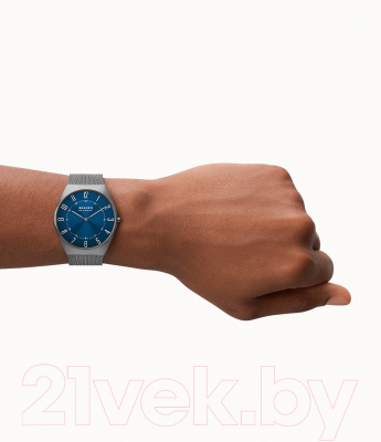 Часы наручные мужские Skagen SKW6829