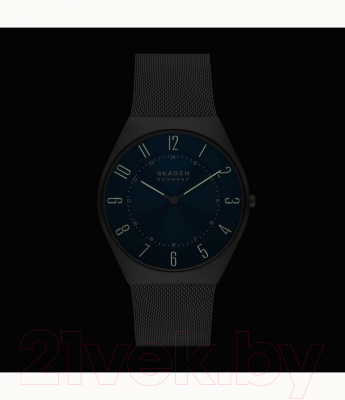 Часы наручные мужские Skagen SKW6829