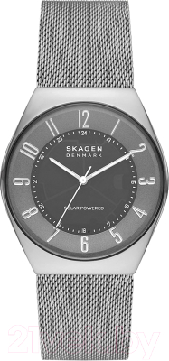 Часы наручные мужские Skagen SKW6836 - фото