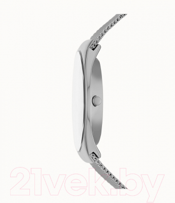 Часы наручные мужские Skagen SKW6836