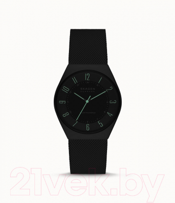 Часы наручные мужские Skagen SKW6836