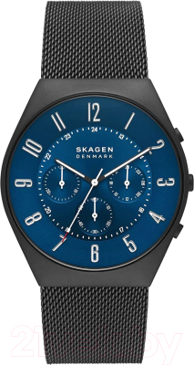 Часы наручные мужские Skagen SKW6841 - фото