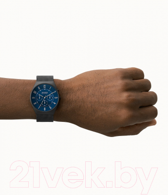 Часы наручные мужские Skagen SKW6841