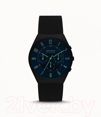 Часы наручные мужские Skagen SKW6841