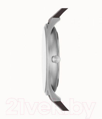 Часы наручные мужские Skagen SKW6846