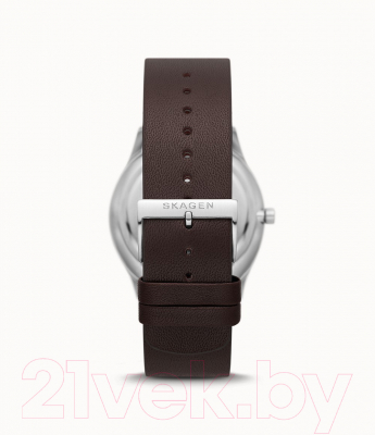 Часы наручные мужские Skagen SKW6846