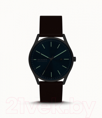 Часы наручные мужские Skagen SKW6846