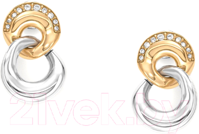 Серьги Skagen SKJ1609998 - фото