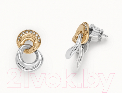 Серьги Skagen SKJ1609998