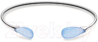 Браслет Skagen SKJ1628040 - фото