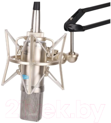 Микрофон Alctron CM6-MKII