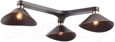 Люстра Lussole Loft Opelika LSP-9534 - фото