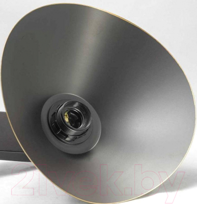 Люстра Lussole Loft Opelika LSP-9534