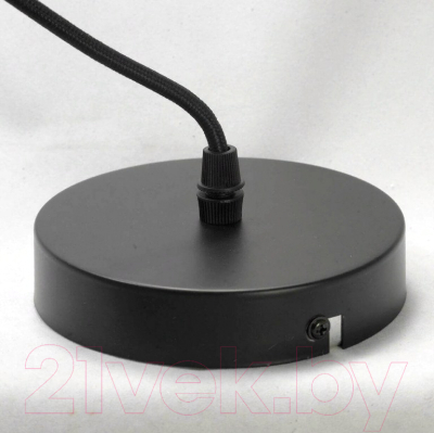 Потолочный светильник Lussole Loft LSP-9543