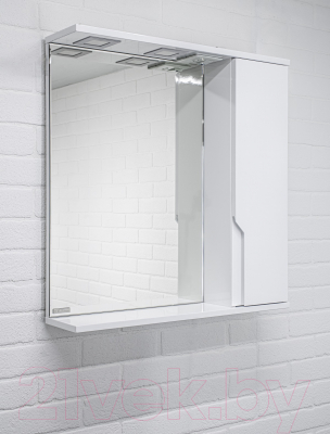 Шкаф с зеркалом для ванной Домино Optima 65