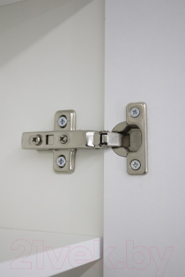 Шкаф с зеркалом для ванной Домино Optima 65