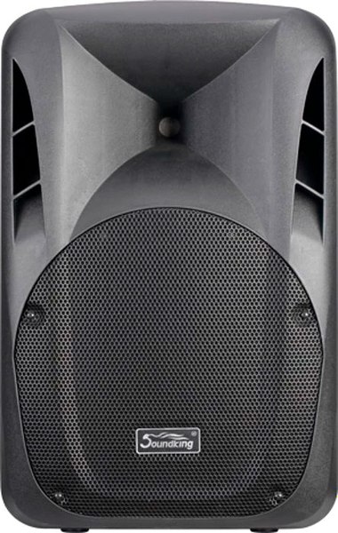 Сценический монитор Soundking FPD12AD - фото