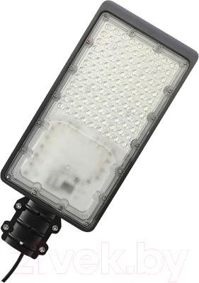 Светильник уличный КС ЛД-LED-043-3-100W / LD043-3-100 - фото