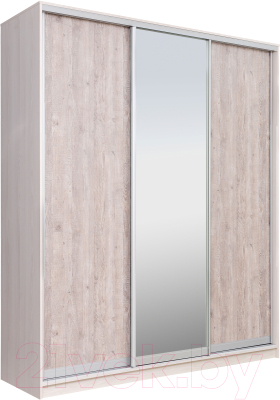 Шкаф Рэйгрупп 233 YSX Elgon РГ-07.02 - фото