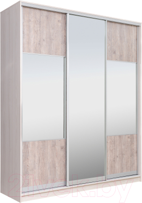 Шкаф Рэйгрупп 203 YSX Elgon РГ-08.06 - фото