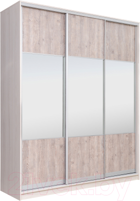 Шкаф-купе Рэйгрупп 203 YSX Elgon РГ-02.01 (ясень снежный/сосна/хром) - фото