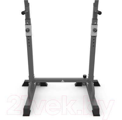 Стойка под штангу DFC DS10