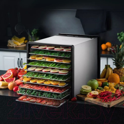 Сушилка для овощей и фруктов Kitfort KT-1924