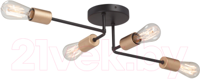 Люстра Vitaluce V3005-1/4PL - фото