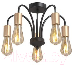 Люстра Vitaluce V3024-1/5PL - фото