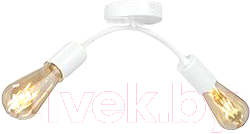 Потолочный светильник Vitaluce V4989-0/2PL - фото