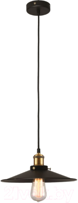 Потолочный светильник Lussole Loft LSP-9601 - фото