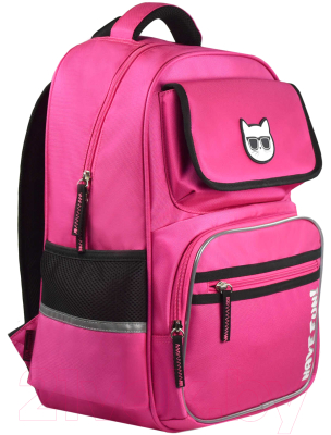 Школьный рюкзак Феникс+ Кот в очках / 59256 - фото