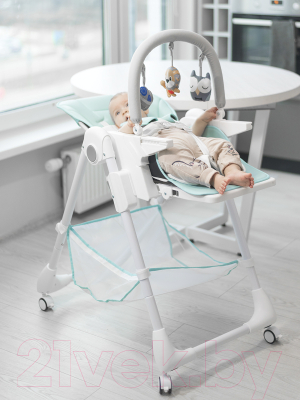 Стульчик для кормления Bubago Amelia / BG 103-3 (Frost Green)