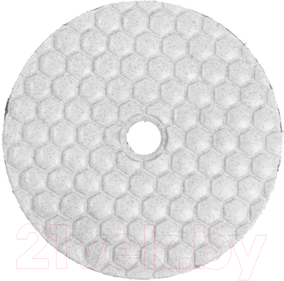 Шлифовальный круг Tundra Черепашка сухая шлифовка 100мм № 100 / 3594932 - фото
